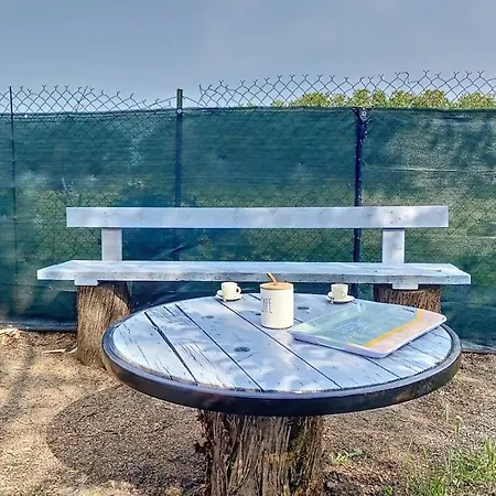 Les Penates Du Pastel - Jardin & Terrasse * Villefranche-de-Lauragais