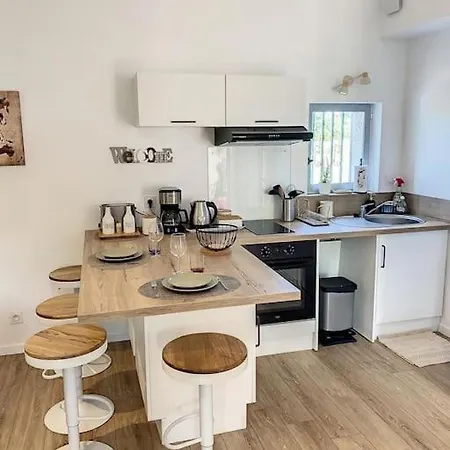 Les Penates Du Pastel - Jardin & Terrasse Daire *