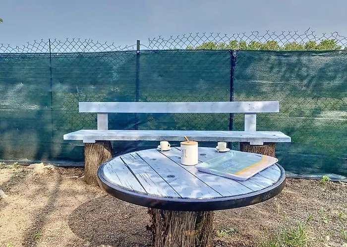 Les Pénates Du Pastel - Jardin&terrasse * Villefranche-de-Lauragais